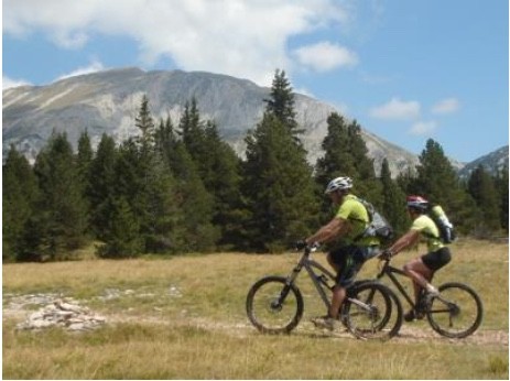 vtt1-349 vtt1-349