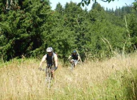 vtt3-351 vtt3-351
