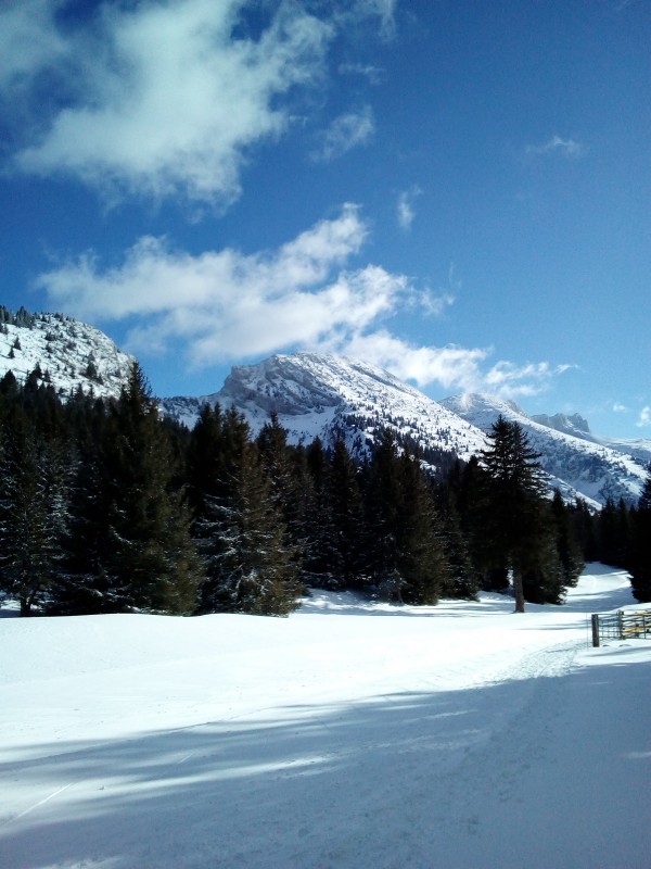img-20200205-151037-1080