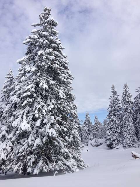 poudreuse-ski-en-vercors-les-4-montagnes-288