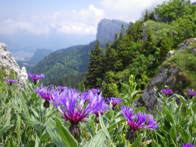 Les 6 Vercors