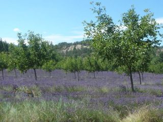 Vercors Sud - Vallée de la Drôme