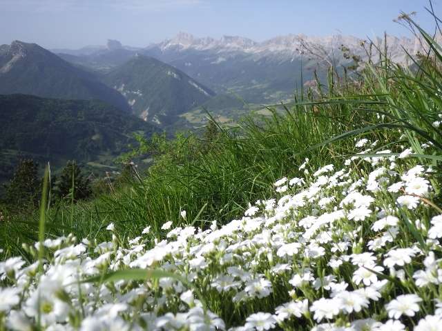 balcon-est-vercors-mont-aiguille-865