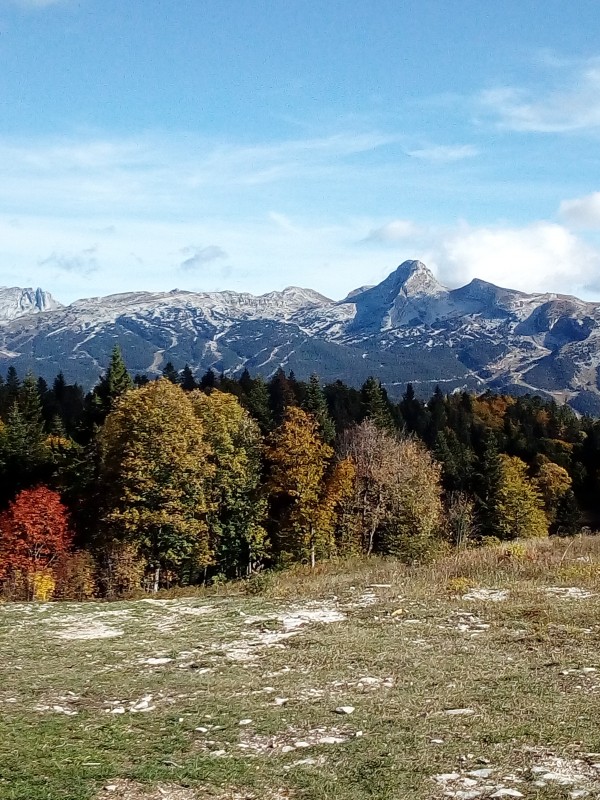 plateau-chateau-julien-1025