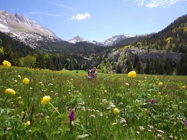 rando-bergerie-de-la-fauge-Vercors-640x480-857