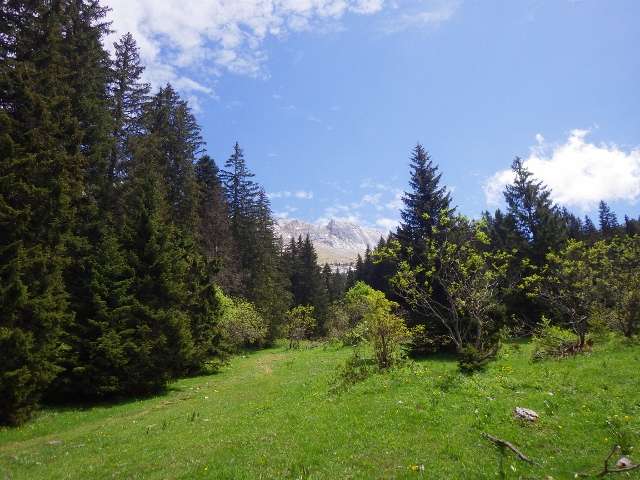 rando-parc-reserve-naturel-vercors-127