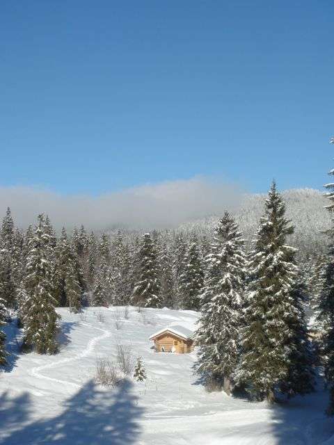 rando-plateau-de-geve-vercors-110-764