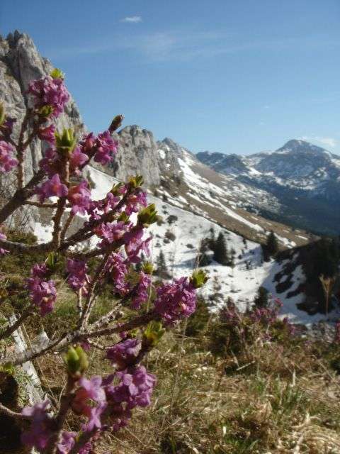 randonnee-vercors-combe-pissavache-261-634